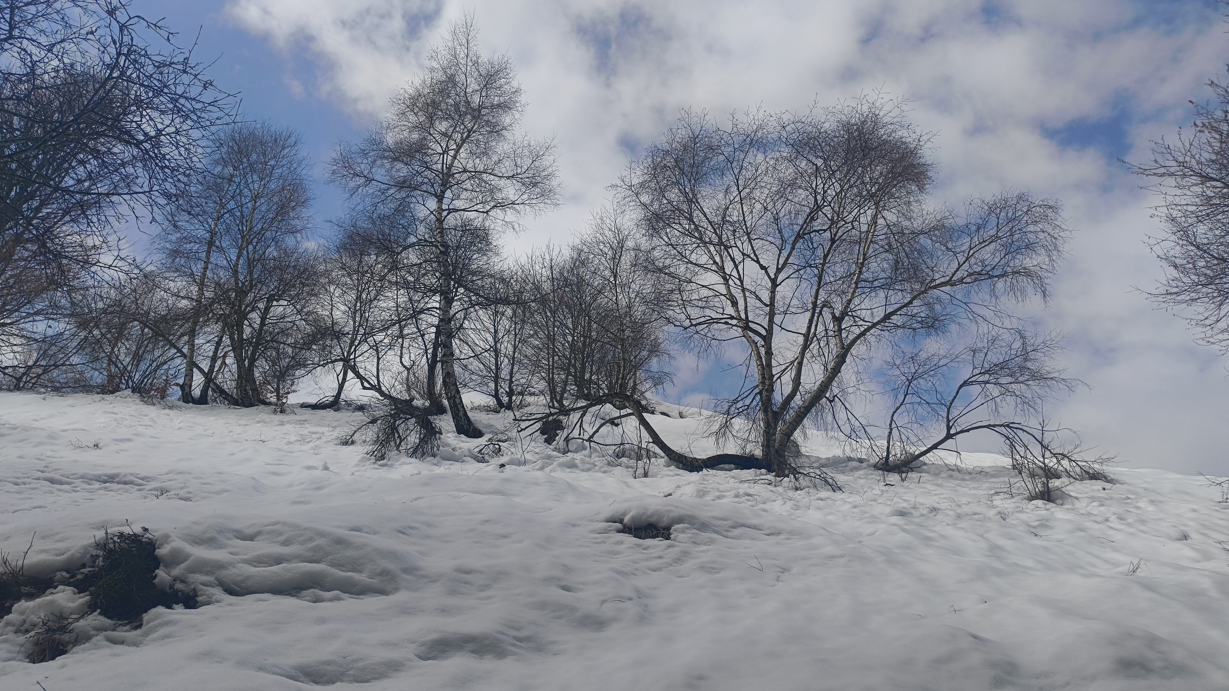 Foto n° 4 del trekking Bivacco del Gufo - Pizzo Pernice │ Alpe Curgei